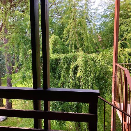 Green Apartment Albavilla المظهر الخارجي الصورة